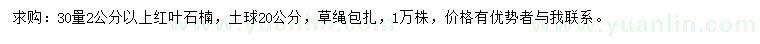 求購30量2公分以上紅葉石楠