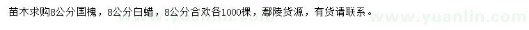 求購國槐、白蠟、合歡