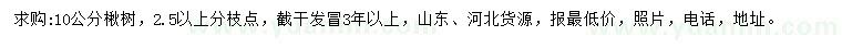 求購10公分楸樹