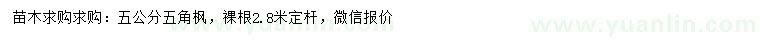 求購5公分五角楓