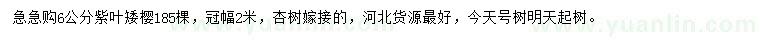 求購6公分紫葉矮櫻