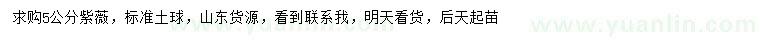 求購5公分紫薇