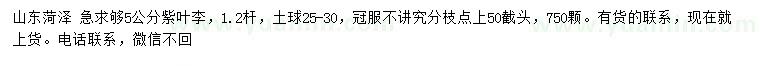 求購5公分紫葉李