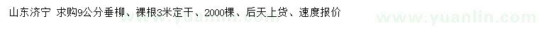 求購(gòu)9公分垂柳