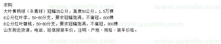 求購大葉黃楊球、紅葉李、紅葉碧桃