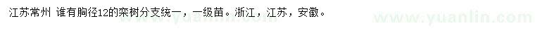 求購胸徑12公分欒樹