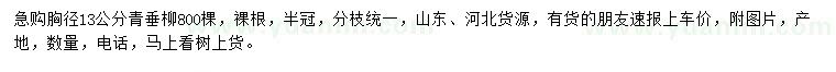 求購胸徑13公分青垂柳