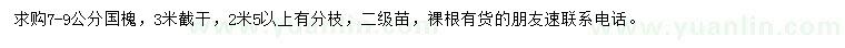 求購7-9公分國(guó)槐