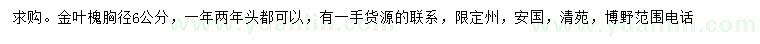 求購胸徑6公分金葉槐