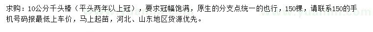 求購10公分千頭椿