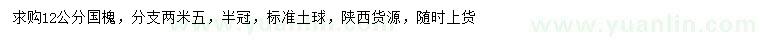 求購12公分國槐