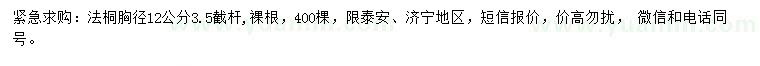 求購胸徑12公分法桐