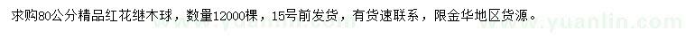 求購80公分精品紅花繼木球