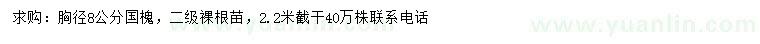 求購(gòu)胸徑8公分國(guó)槐