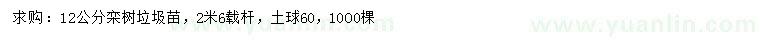 求購12公分欒樹垃圾苗