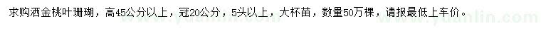 求購高45公分以上灑金桃葉珊瑚