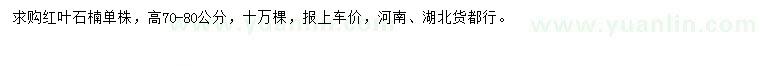 求購高70-80公分紅葉石楠