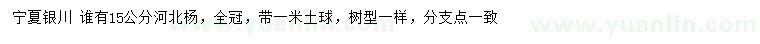 求購15公分河北楊