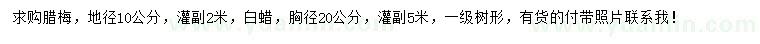 求購地徑10公分臘梅、胸徑20公分白蠟