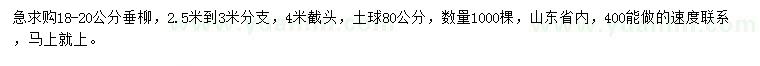 求購18-20公分垂柳