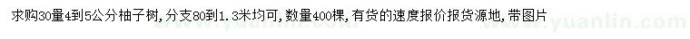 求購30量4-5公分柚子樹