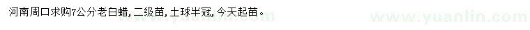 求購(gòu)7公分老白蠟