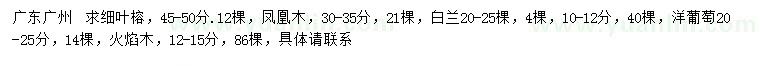 求購(gòu)紅葉榕、鳳凰木、白蘭等