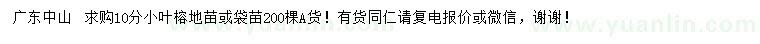 求購(gòu)10公分小葉榕地苗或袋苗