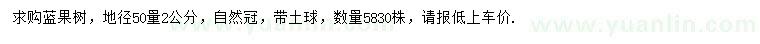 求購(gòu)地徑50量2公分藍(lán)果樹(shù)