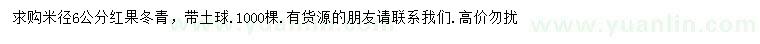 求購米徑6公分紅果冬青