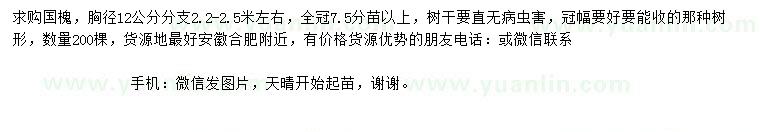 求購胸徑12公分國槐
