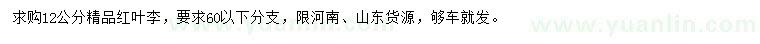 求購12公分紅葉李
