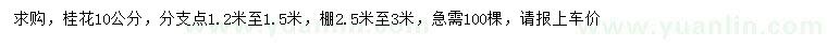 求購(gòu)10公分桂花