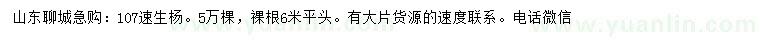 求購107速生楊