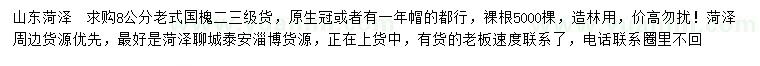 求購8公分老式國槐