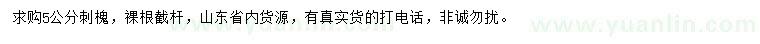 求購5公分刺槐