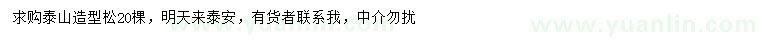 求購(gòu)造型松