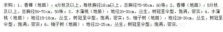 求購(gòu)香樟（地苗）、水蒲桃（地苗）、柚子樹(shù)（地苗）