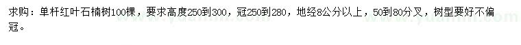 求購地徑8公分以上單桿紅葉石楠樹