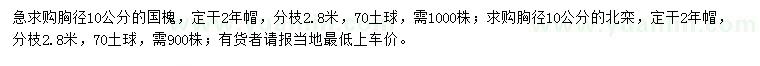 求購胸徑10公分國槐、北欒