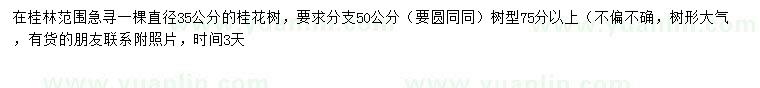 求購(gòu)35公分桂花樹(shù)