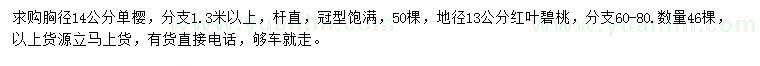 求購胸徑14公分單櫻、地徑13公分紅葉碧桃