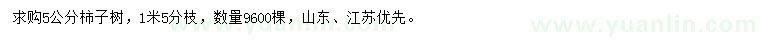 求購5公分柿子樹