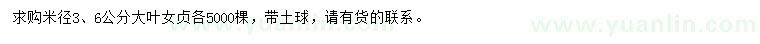 求購米徑3、6公分大葉女貞