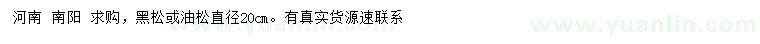 求購(gòu)直徑20公分黑松、油松