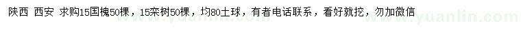 求購15公分國槐、欒樹