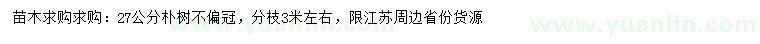 求購(gòu)27公分樸樹(shù)