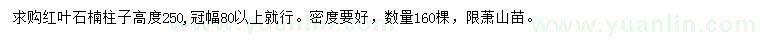 求購高250公分紅葉石楠柱子