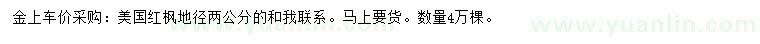 求購地徑2公分美國紅楓