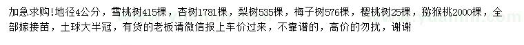 求購雪桃樹、杏樹、梨樹等